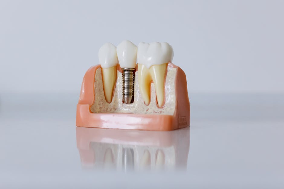 pexels-photo-6502305-6502305-1 Detailed dental implant model showcasing teeth structure for educational purposes.
